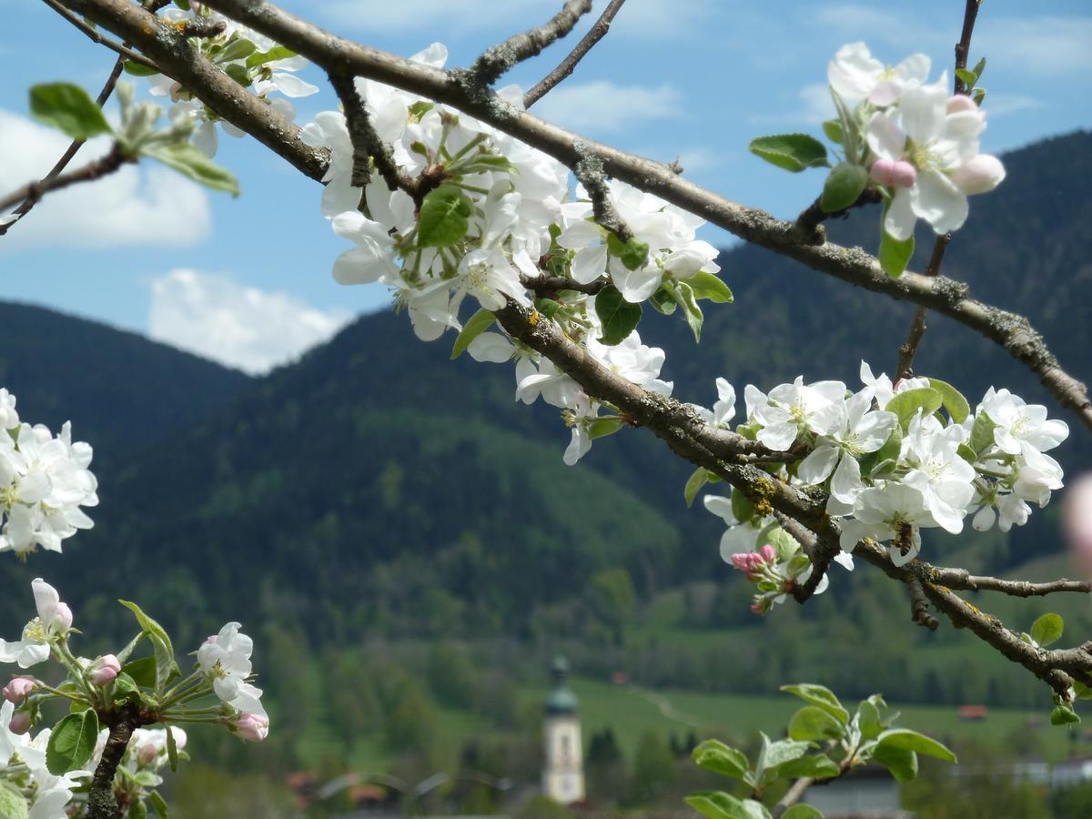 Zum Heisn Appartement Lenggries Buitenkant foto